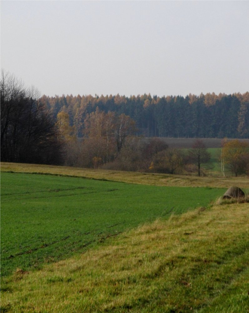 Housko