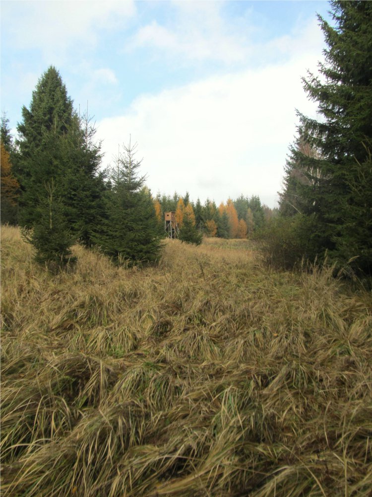 Bohdalůvka